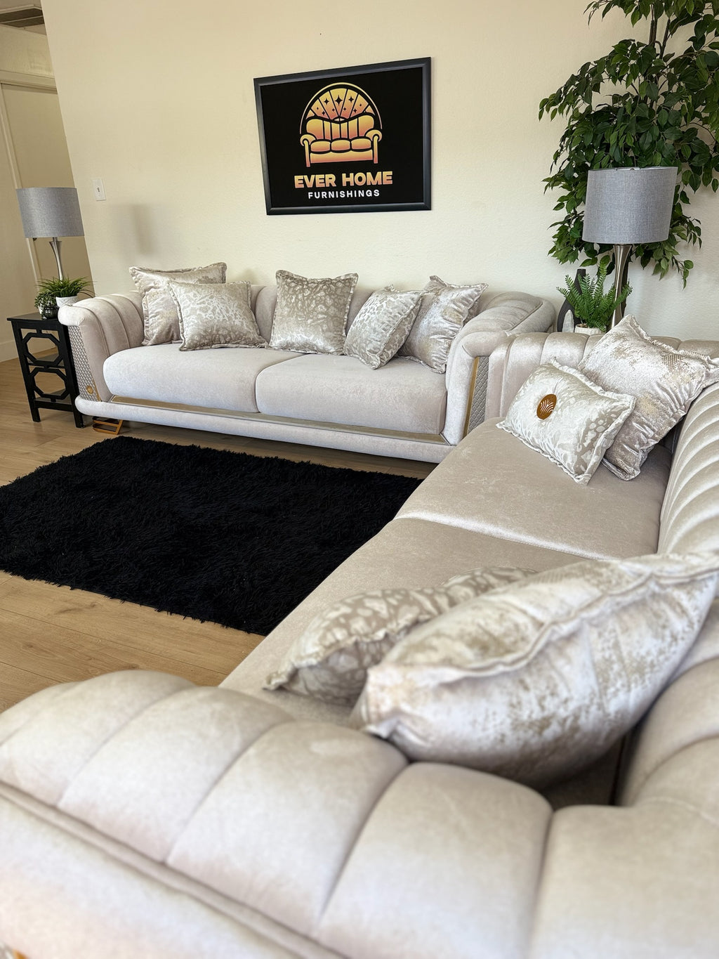 Arthopod Romario 2 Piece Velvet Living Room Set - Modern Style